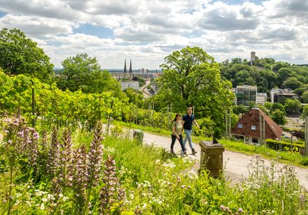 Wanderung von Burg zu Berg - Johannisberg Bielefeld